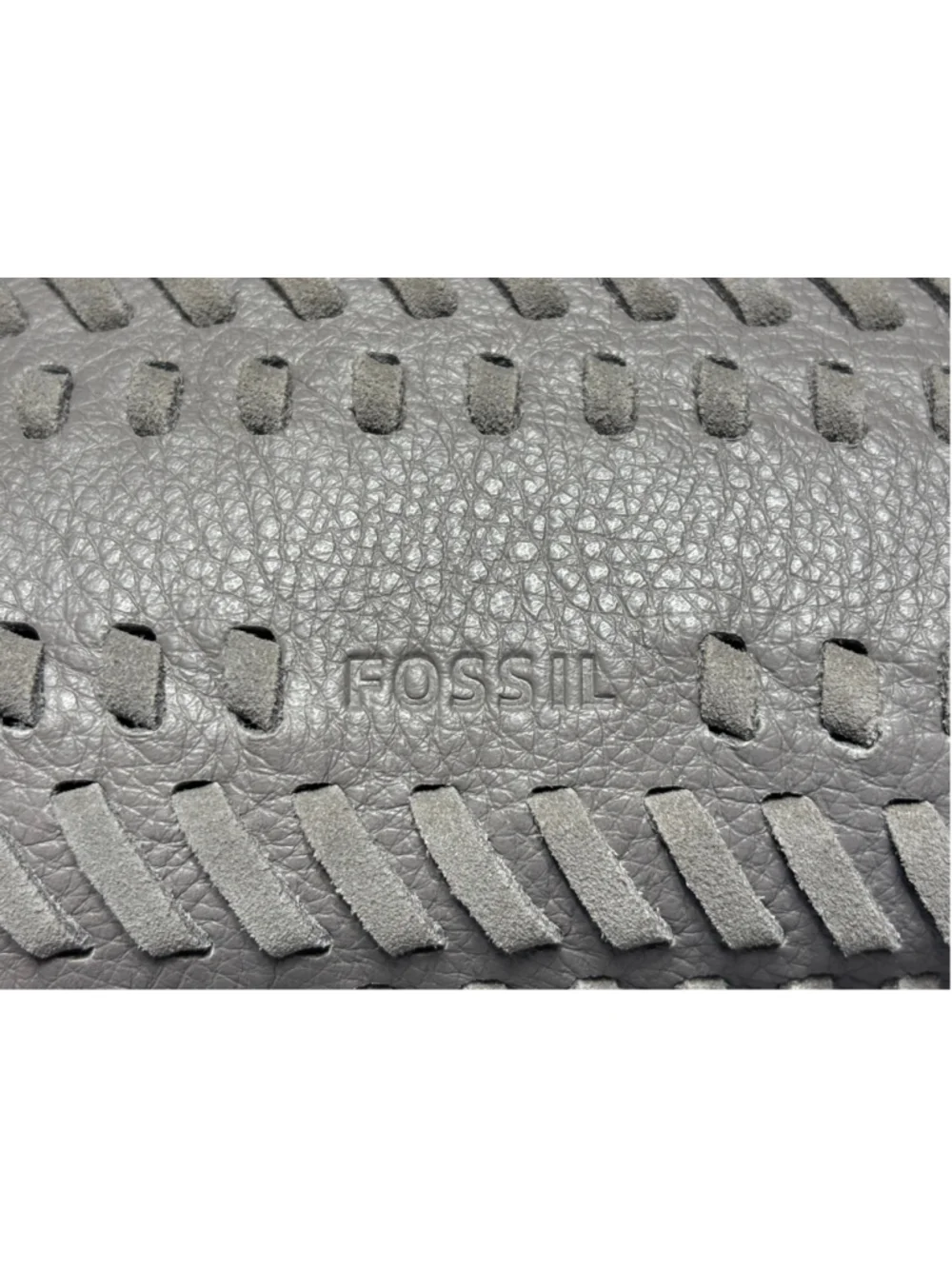 Fossil maya small